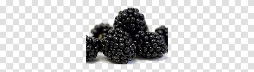 Blackberry, Fruit, Plant, Food, Raspberry Transparent Png