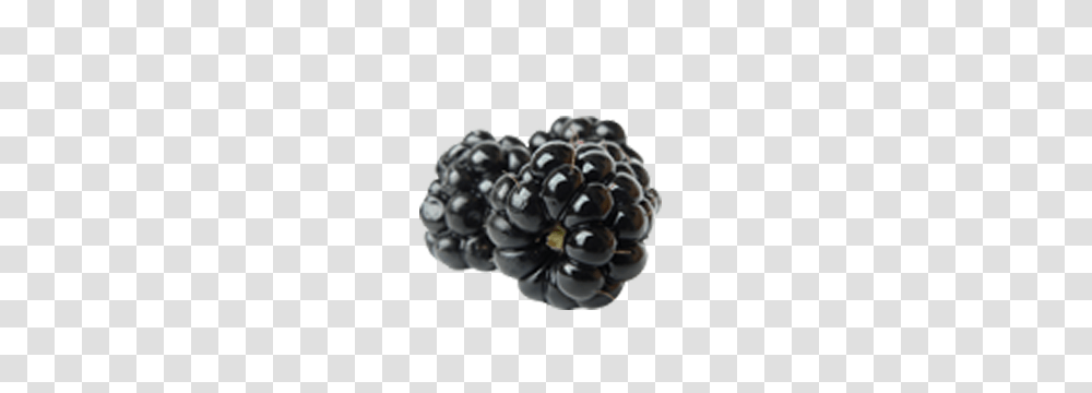 Blackberry, Fruit, Plant, Grapes, Food Transparent Png
