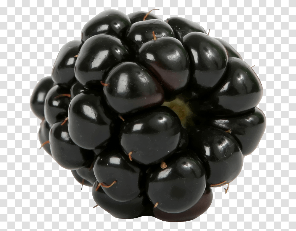 Blackberry, Fruit, Plant, Helmet Transparent Png