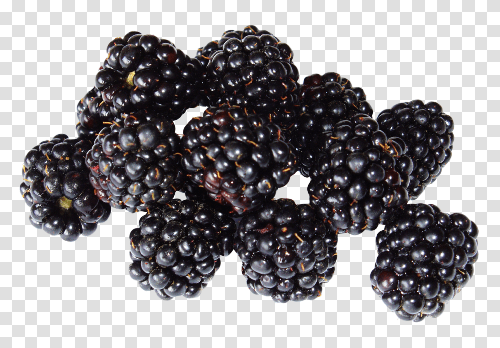 Blackberry, Fruit, Plant, Necklace, Jewelry Transparent Png