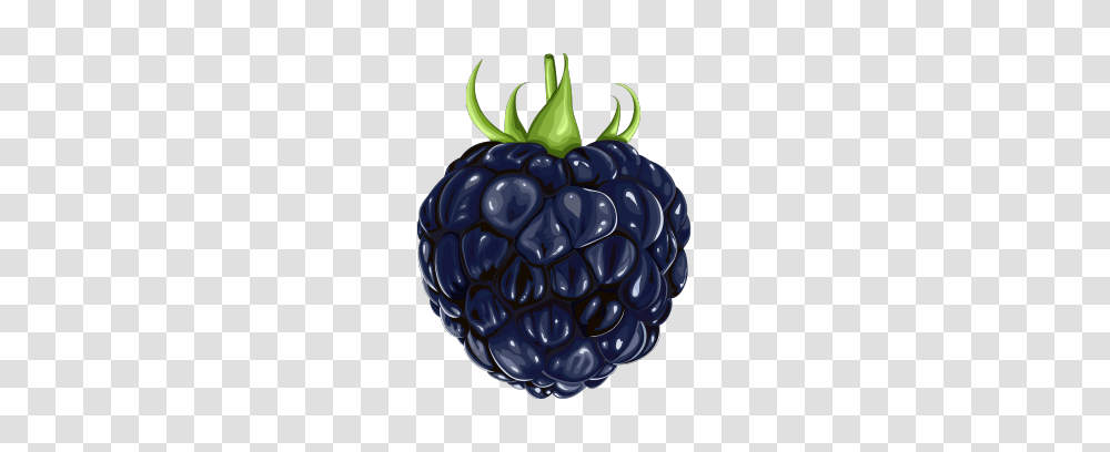 Blackberry, Fruit, Plant, Raspberry, Food Transparent Png