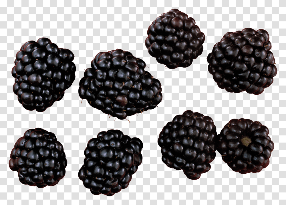 Blackberry, Fruit Transparent Png