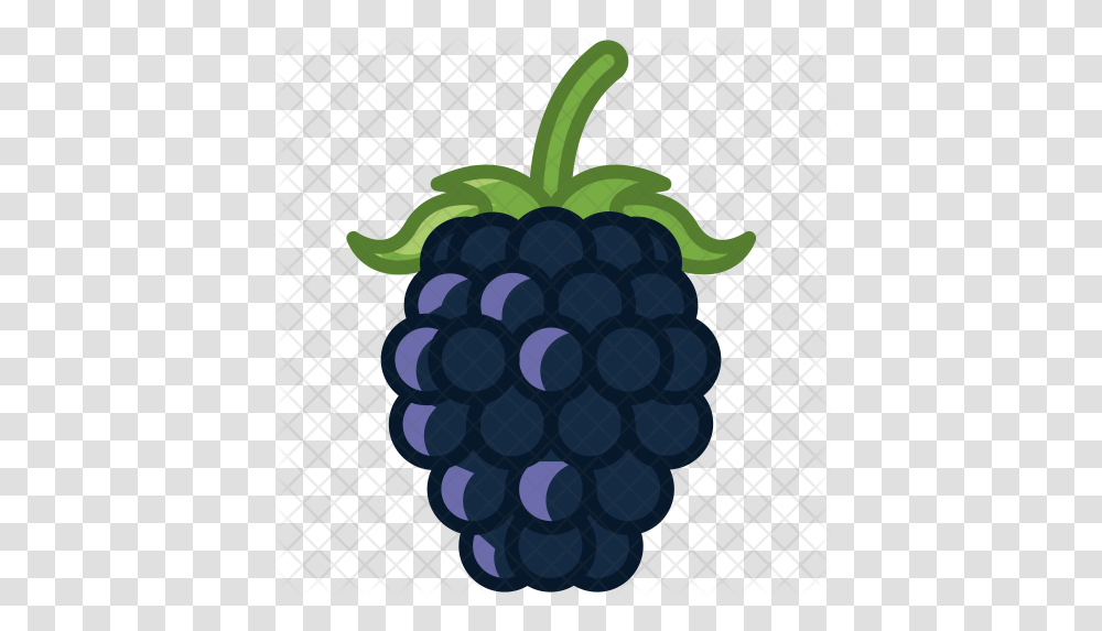 Blackberry Icon Raspberry Fruit Icons, Plant, Food, Grapes, Blueberry Transparent Png