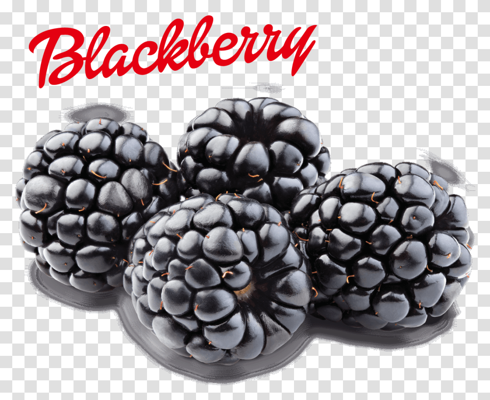 Blackberry Image Blackberry, Plant, Fruit, Food, Raspberry Transparent Png