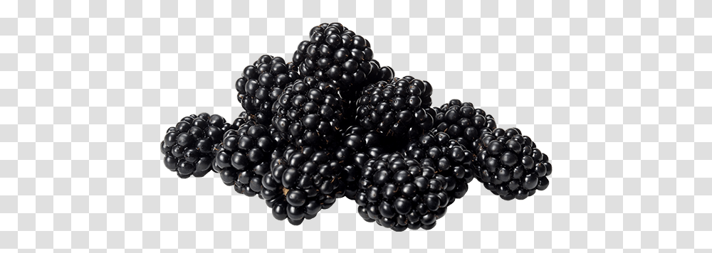 Blackberry Image Blackberry, Plant, Raspberry, Fruit, Food Transparent Png