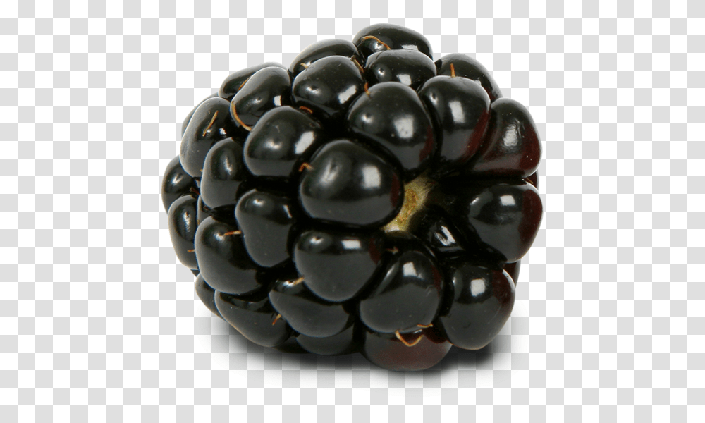 Blackberry Images Free Download Blackberry, Plant, Fruit, Food, Raspberry Transparent Png