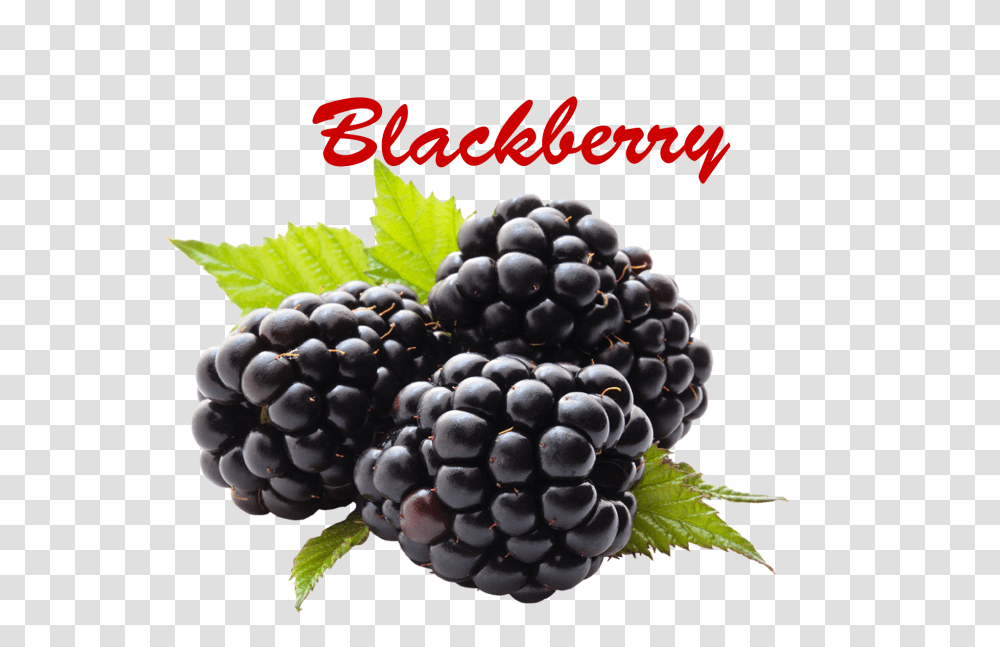 Blackberry Images, Plant, Grapes, Fruit, Food Transparent Png