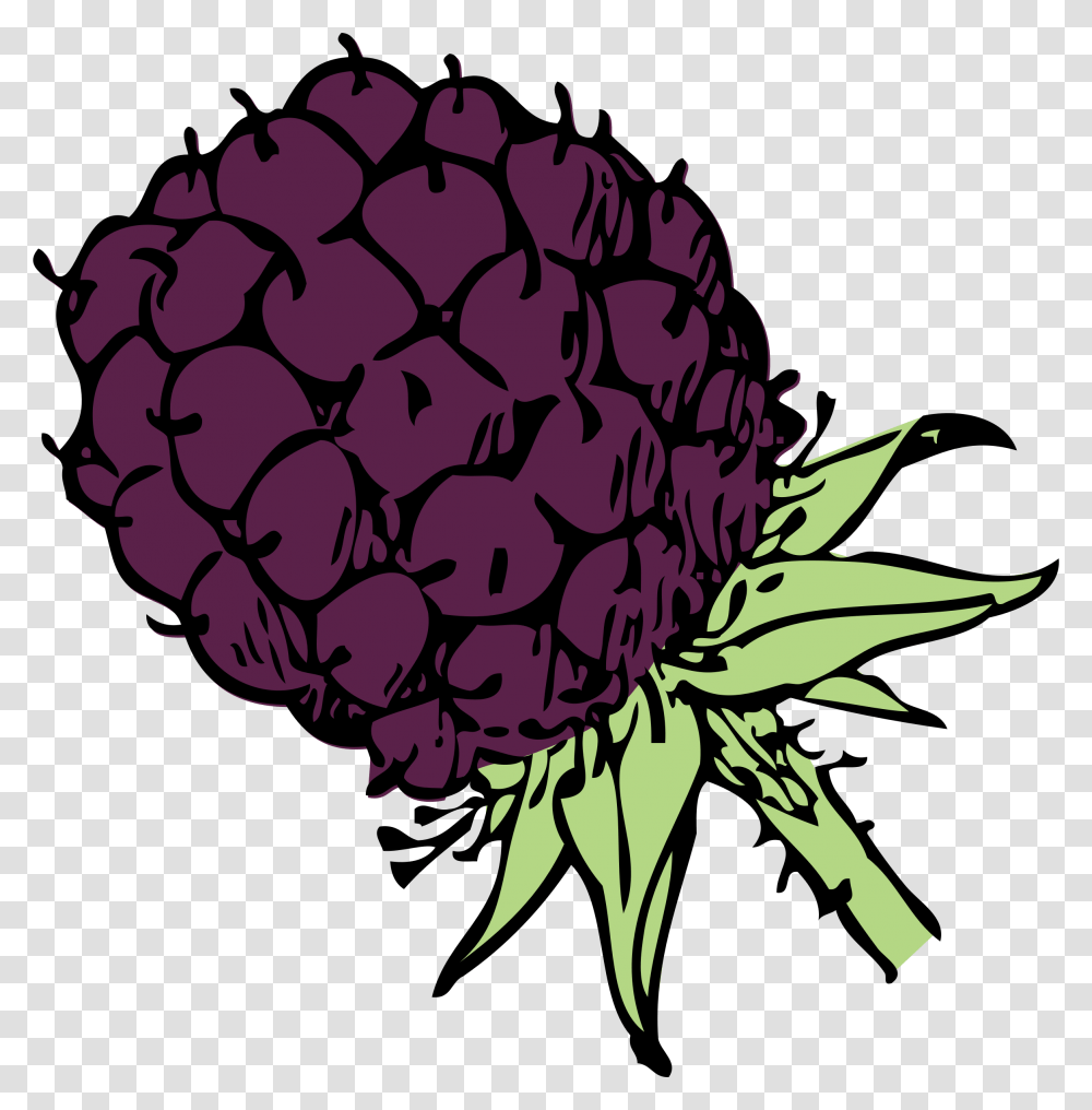 Blackberry, Plant, Dahlia, Flower, Blossom Transparent Png