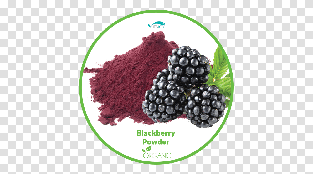 Blackberry, Plant, Fruit, Food, Blueberry Transparent Png
