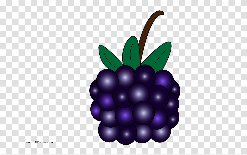 Blackberry Raster Picturet, Plant, Grapes, Fruit, Food Transparent Png