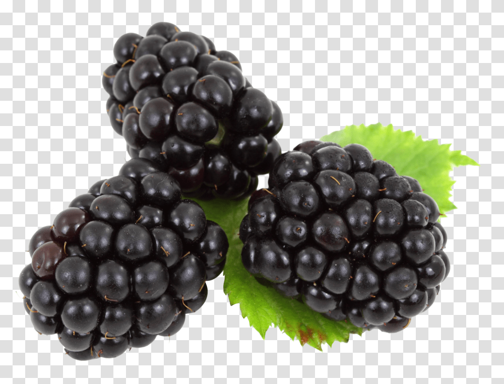 Blackberry With Leaves Image 2, Fruit, Plant, Grapes, Food Transparent Png