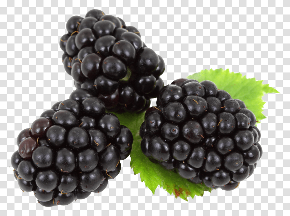 Blackberry With Leaves Image For Free Blackberries, Plant, Fruit, Food, Grapes Transparent Png