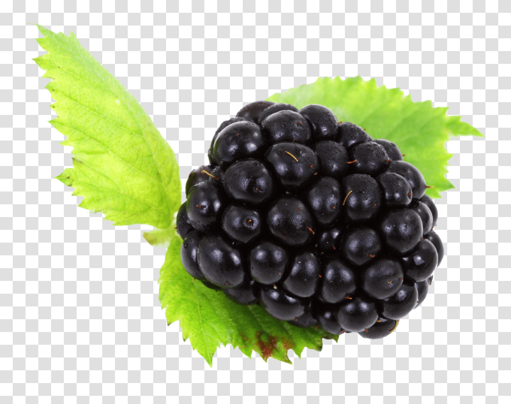 Blackberry With Leaves Image, Fruit, Plant, Food, Grapes Transparent Png
