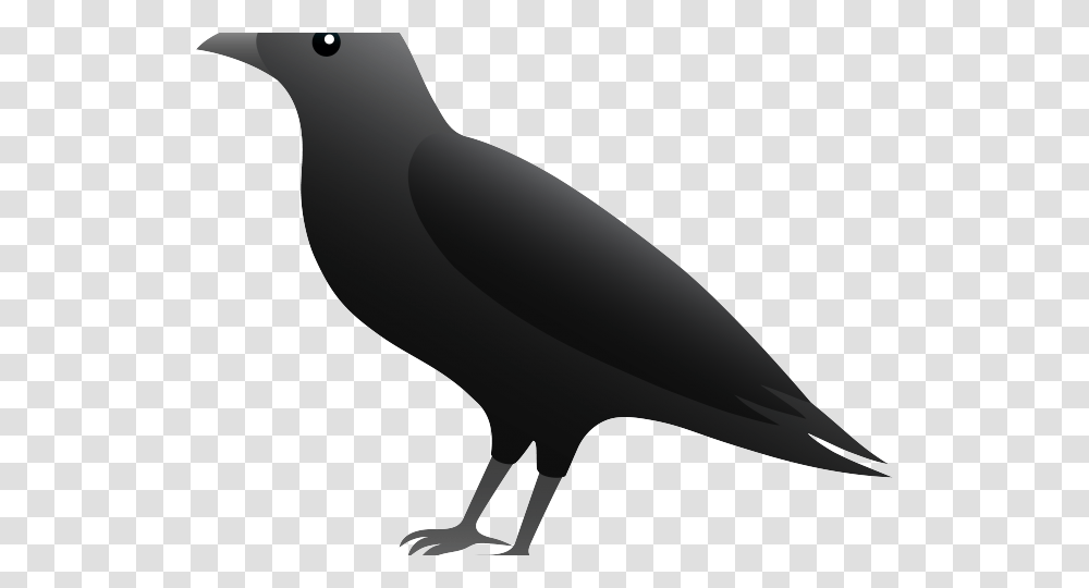 Blackbird Clipart Clip Art, Animal, Silhouette, Beak, Crow Transparent Png