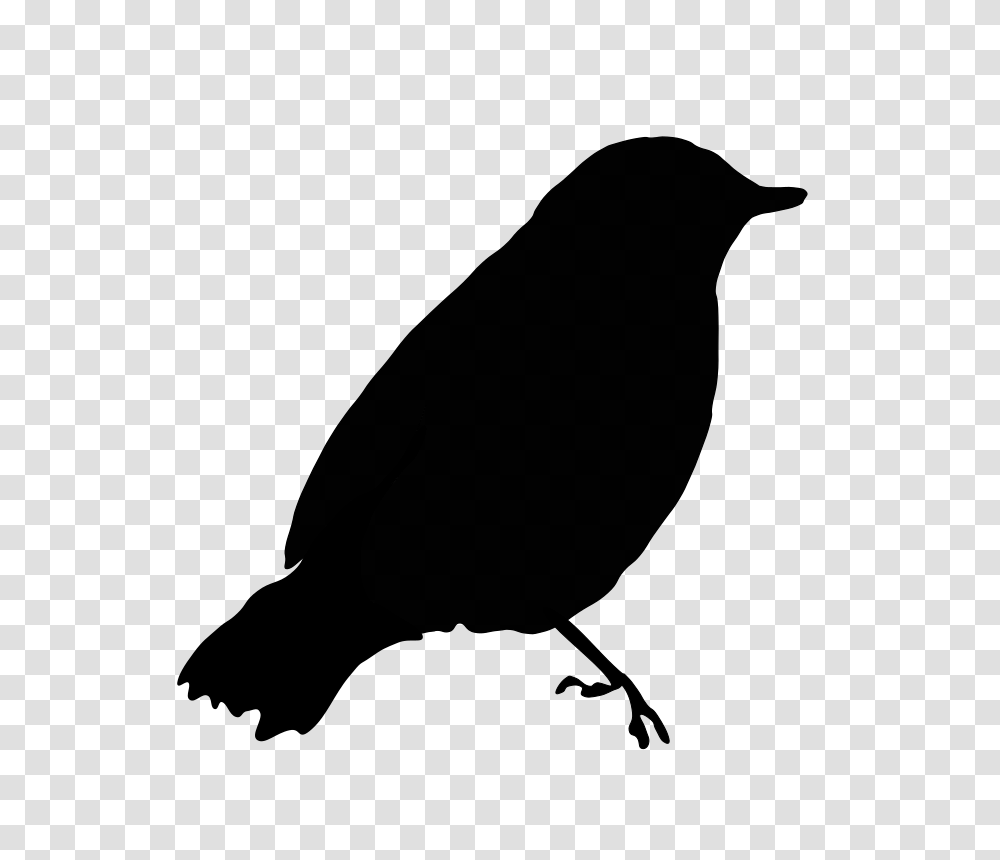 Blackbird Clipart, Gray, World Of Warcraft Transparent Png