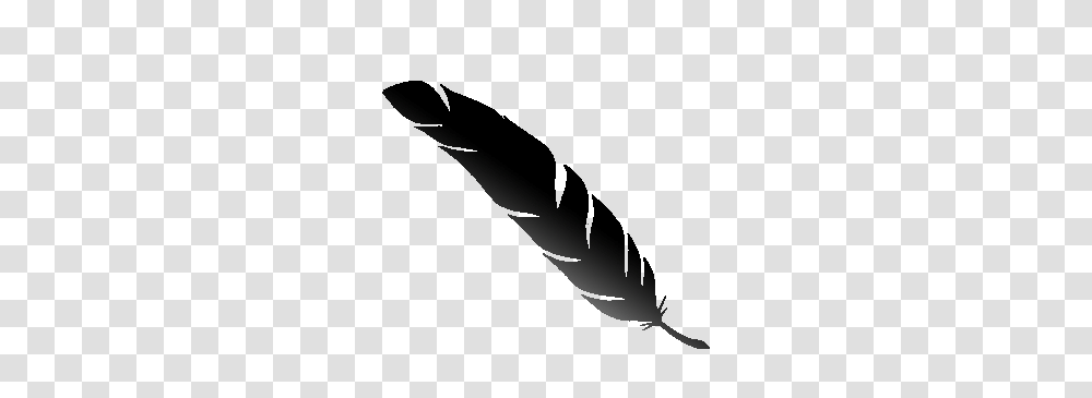 Blackbird, Silhouette, Stencil Transparent Png