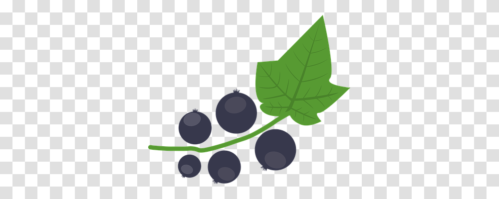 Blackcurrant Food, Plant, Fruit, Grapes Transparent Png