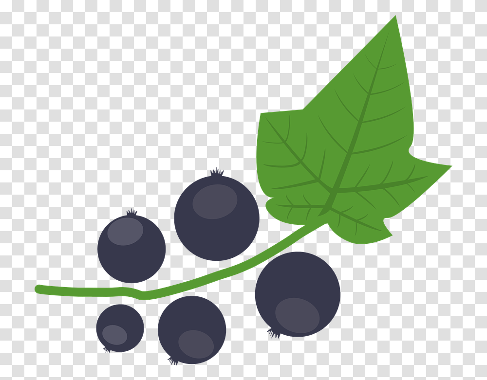 Blackcurrant Berry Autumn Free Vector Graphic On Pixabay Blackcurrant Illustration, Plant, Fruit, Food, Grapes Transparent Png
