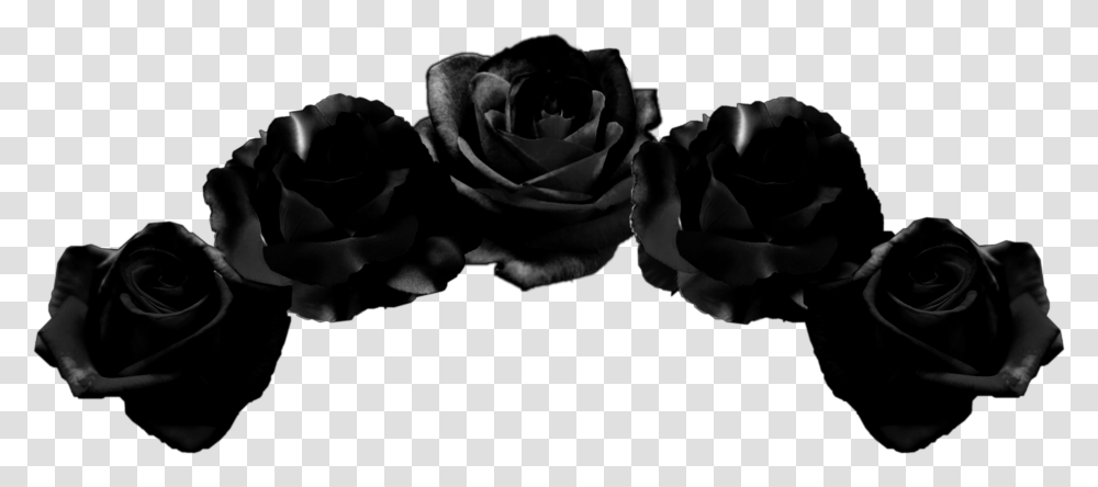 Blackflowercrown Flowercrown Flowers Crown Black Black Flower Crown, Rose, Plant Transparent Png
