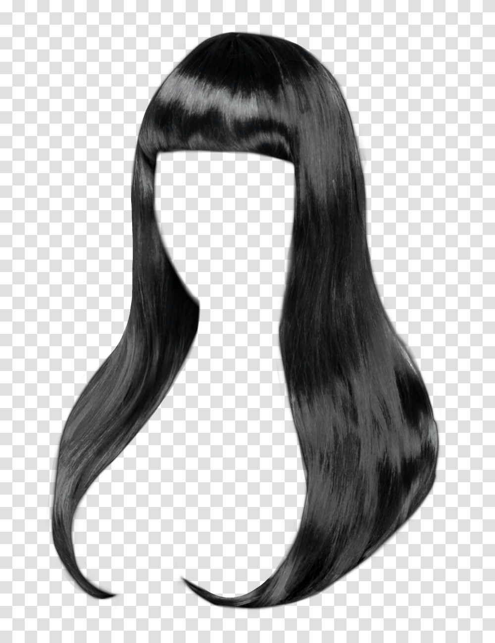 Blackhair Blackwig Wig Hair Bangs Silky, Bird, Animal, Black Hair Transparent Png