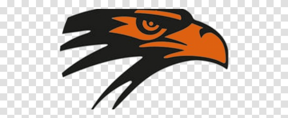 Blackhawks Could Green Light New High School 715newsroomcom Bloomer High School, Beak, Bird, Animal, Eagle Transparent Png