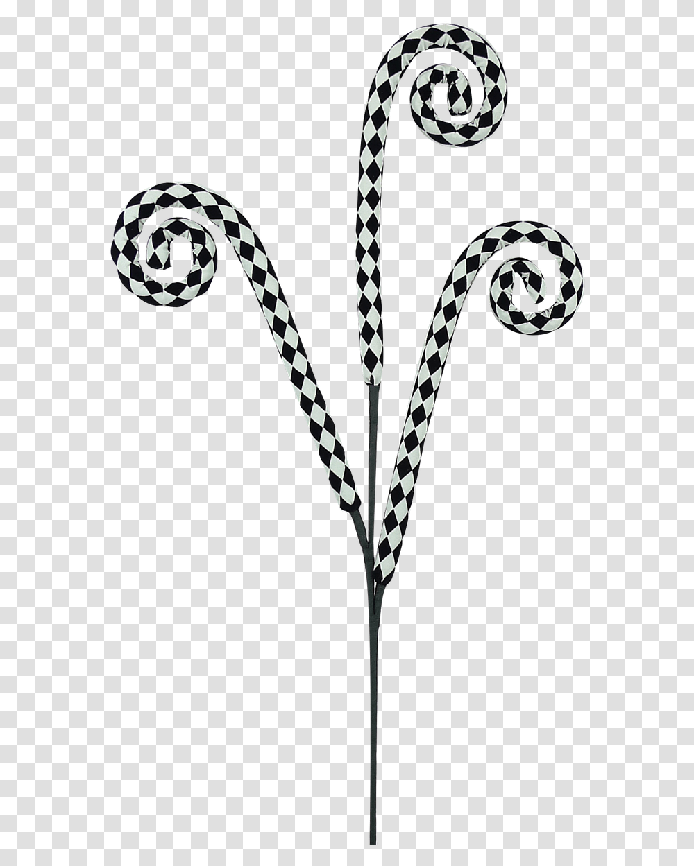 Blackwhite Harlequin Curly Spray 30 Wreath, Snake, Reptile, Animal, Symbol Transparent Png