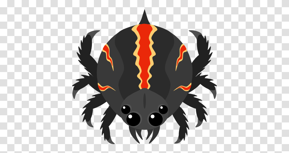 Blackwidow Spider Mope Io Queen Blackwiddow, Food, Seafood, Sea Life, Animal Transparent Png