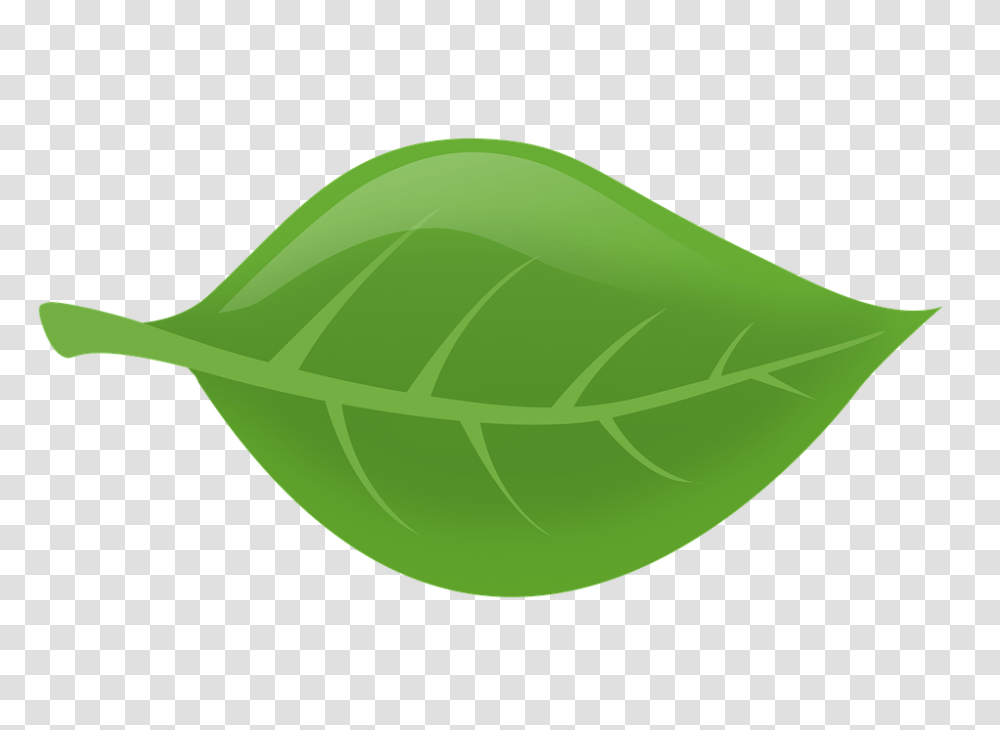 Blade Image, Leaf, Plant, Vegetable, Food Transparent Png