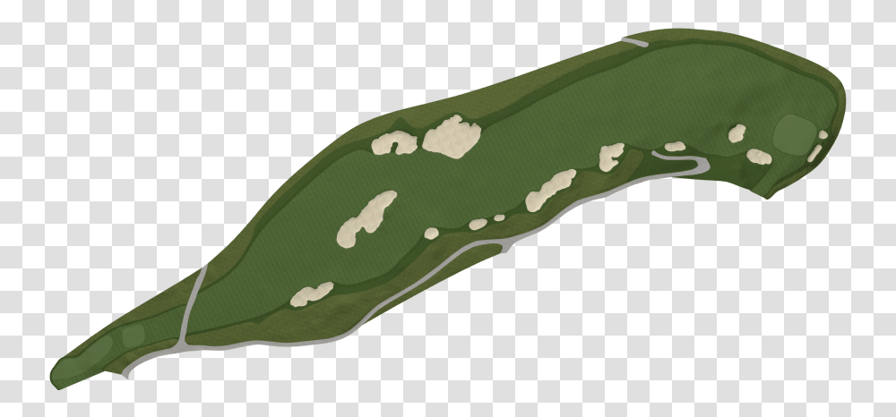 Blade Of Grass Tree, Plant, Vegetable, Food, Cucumber Transparent Png