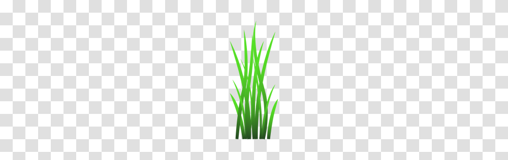 Blade Or To Download, Plant, Vegetable, Food, Produce Transparent Png
