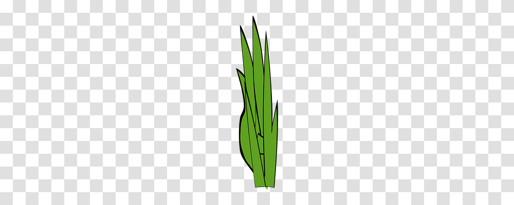 Blades Of Grass Nature, Plant, Lawn, Leaf Transparent Png