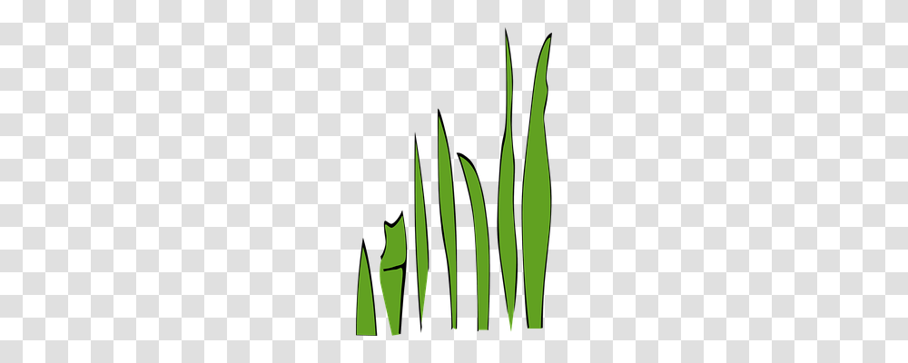 Blades Of Grass Nature, Plant, Leaf, Aloe Transparent Png