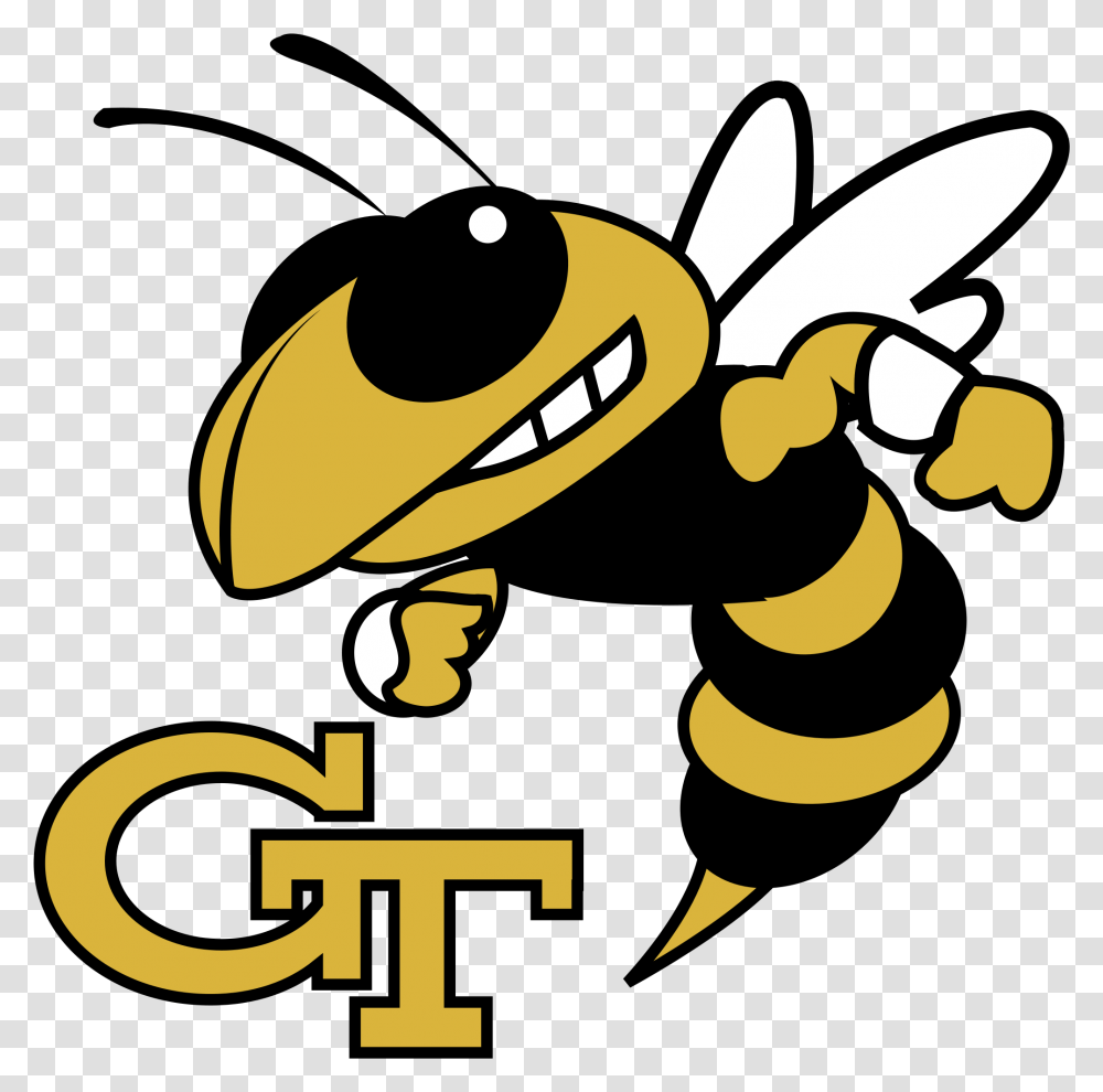 Blake High School Yellow Jackets, Wasp, Bee, Insect, Invertebrate Transparent Png