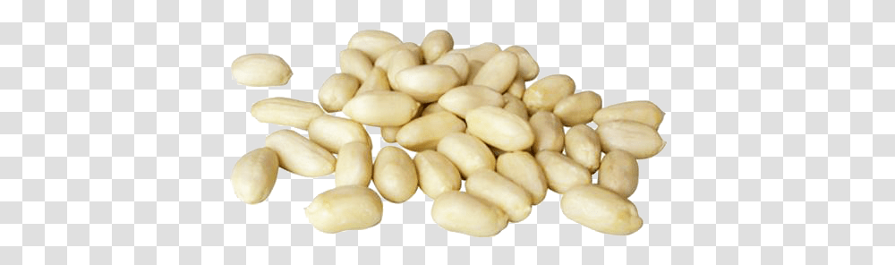 Blanched Peanuts Chinese Factory With Competitive Price Peanut, Plant, Vegetable, Food, Fungus Transparent Png