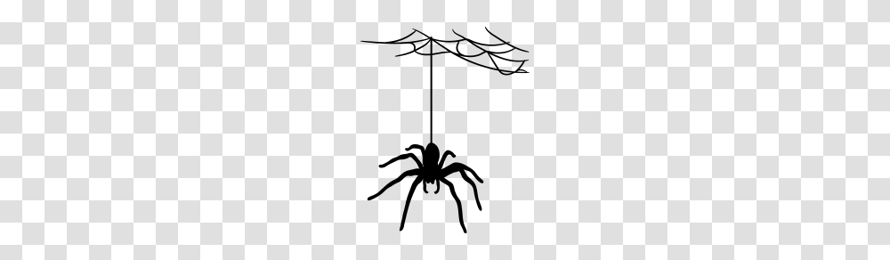Bland Cobweb Spider Cobwebs Large, Gray, World Of Warcraft Transparent Png