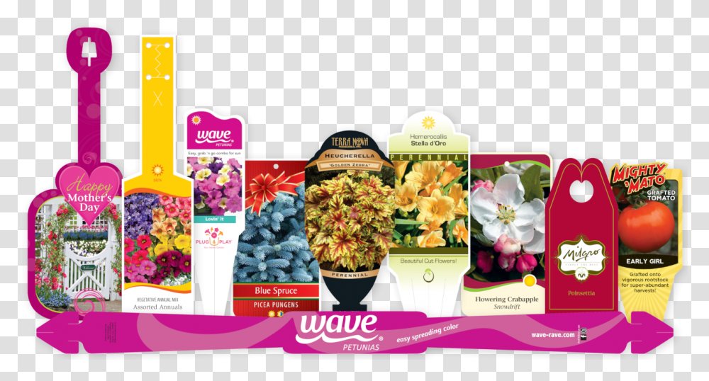 Blank Stakes Amp Tags Garden Center Grape, Plant, Flower, Blossom, Flower Arrangement Transparent Png