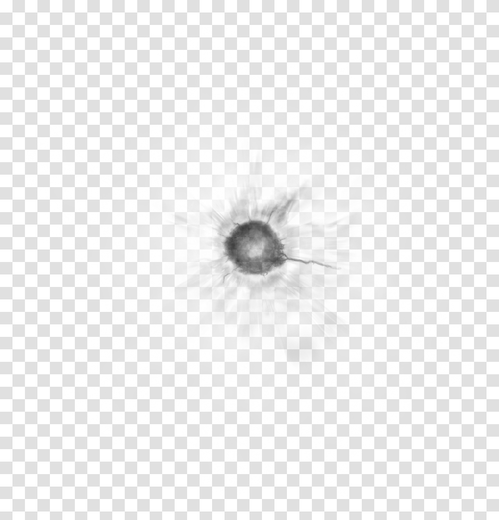 Blast Crater Clipart Crater Brush, Plant, Flower, Blossom, Hibiscus Transparent Png