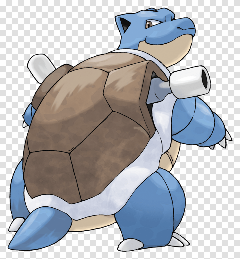 Blastoise Squirtle, Soccer Ball, Outdoors, Mammal, Animal Transparent Png