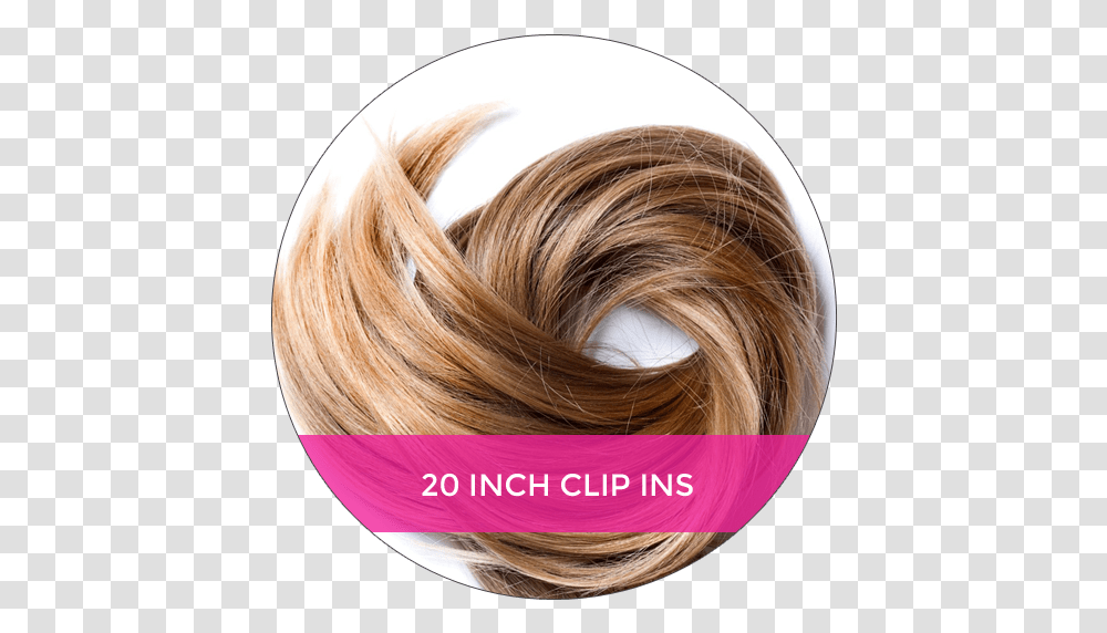 Bleach Your Hair With Hydrogen Peroxide, Person, Human, Ponytail, Hair Slide Transparent Png