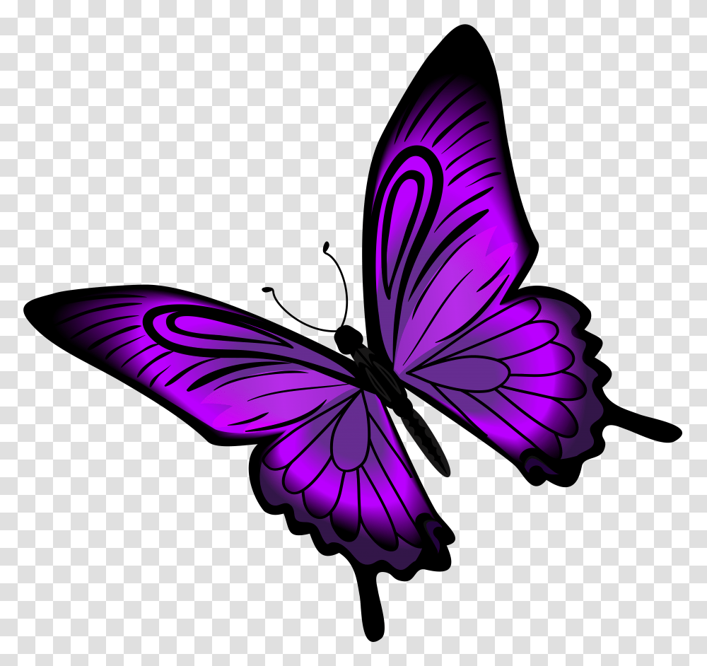 Бабочка без фона