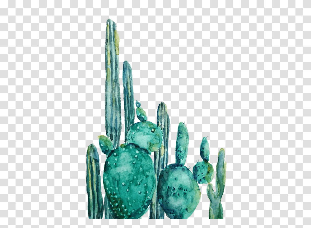 Bleed Area May Not Be Visible Cactus Watercolor Painting, Plant, Food, Fruit, Blueberry Transparent Png