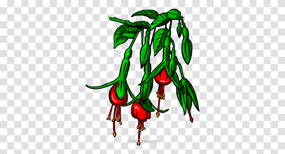 Bleeding Heart Flower Royalty Free Vector Clip Art Illustration, Green, Graphics, Plant, Tree Transparent Png