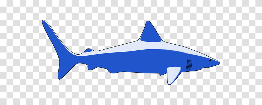 Blender Animals, Sea Life, Fish, Shark Transparent Png