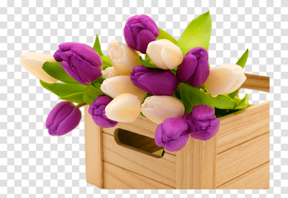 Blessed Monday Morning Blessings, Plant, Flower, Blossom, Flower Arrangement Transparent Png