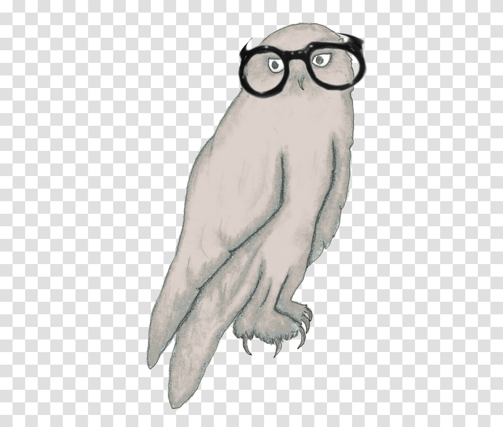 Blind Glasses Sketch, Animal, Bird, Accessories Transparent Png