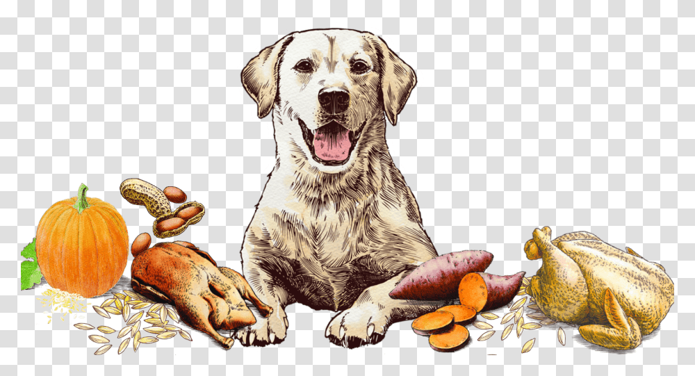 Blissful Biscuit Art Dog Yawns, Animal, Mammal, Canine, Plant Transparent Png