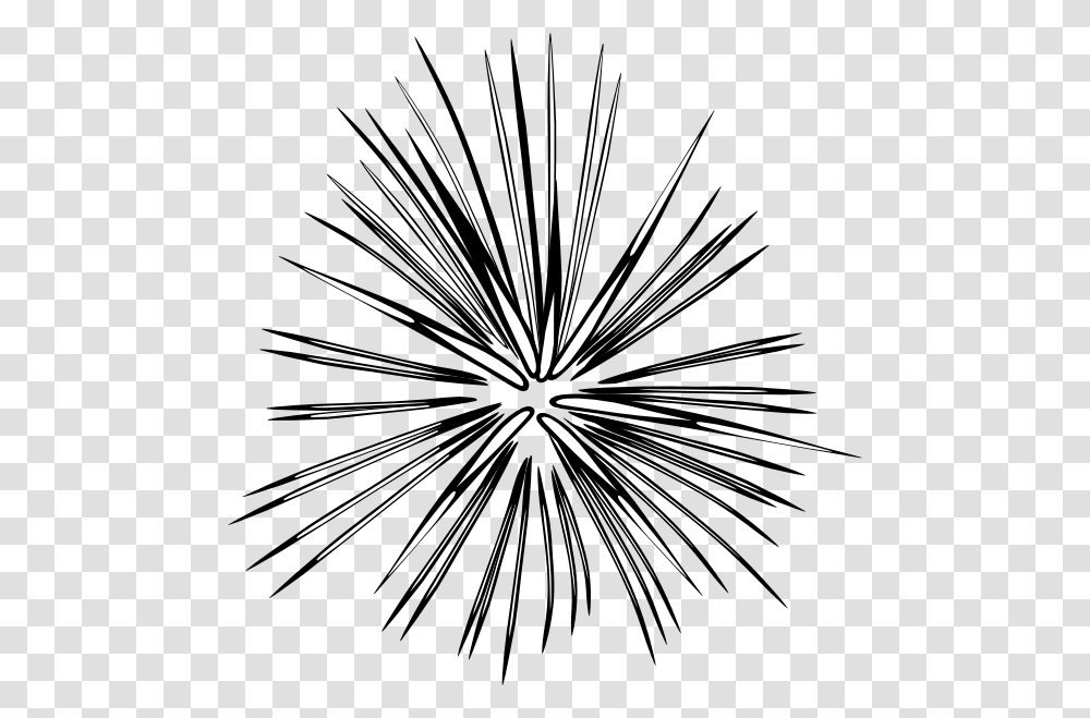 Blk Firework Clip Art, Plant, Flower, Blossom, Mixer Transparent Png