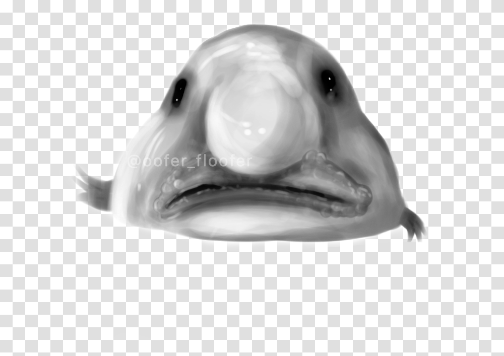 Blobfish Image By Scout Wolf Carp, Head, Helmet, Clothing, Apparel Transparent Png