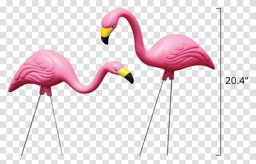 Bloem Living Flamingos Garden Flamingo, Bird, Animal, Beak Transparent Png