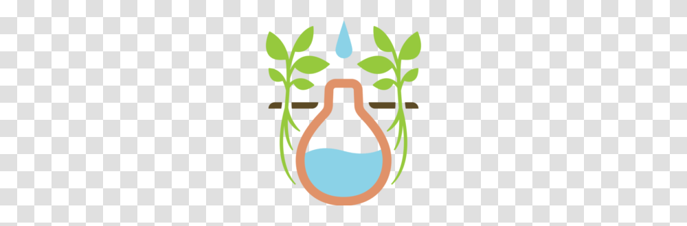 Blog Growoya, Potted Plant, Vase, Jar, Pottery Transparent Png